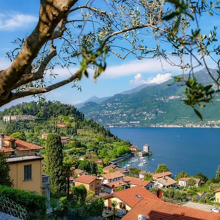 Σπίτι διακοπών Olive Tree View *