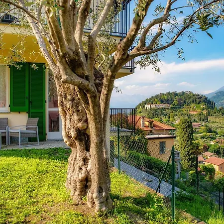 Σπίτι διακοπών Olive Tree View *