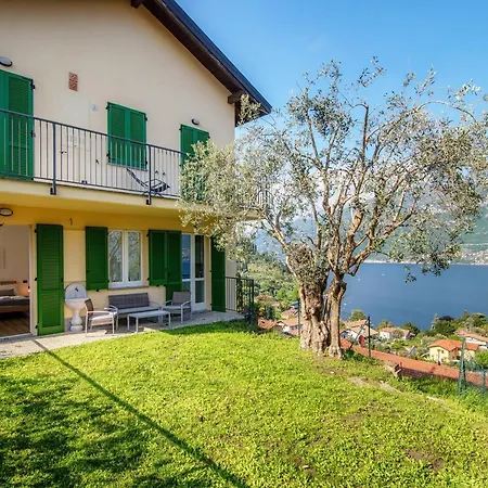 Olive Tree View Bellagio