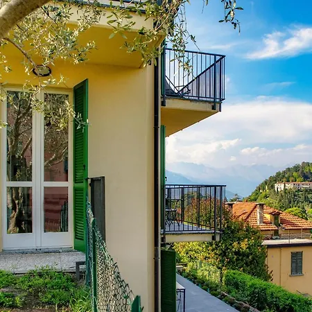 Olive Tree View * Bellagio