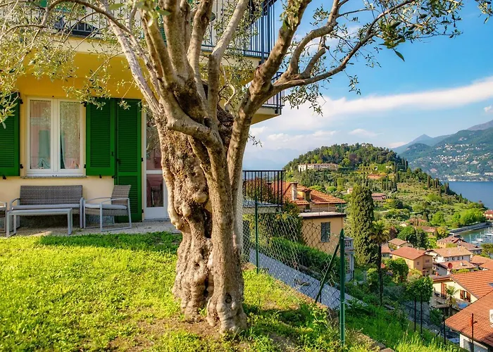 Dom wakacyjny Olive Tree View *